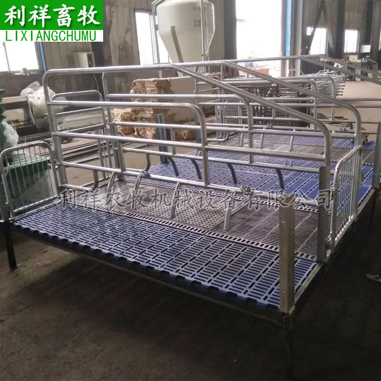 母豬產(chǎn)床圖片/母豬產(chǎn)床樣板圖 (4)