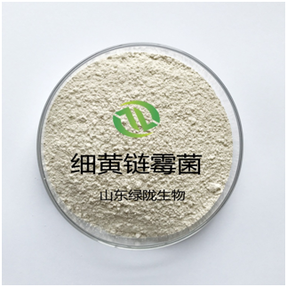 全國供應細黃鏈霉菌價格圖片