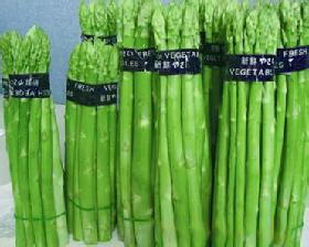 蘆筍種子圖片/蘆筍種子樣板圖 (1)