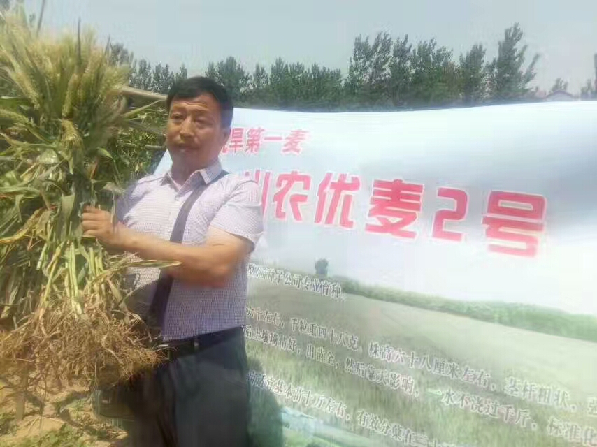 抗旱圖片/抗旱樣板圖 (3)