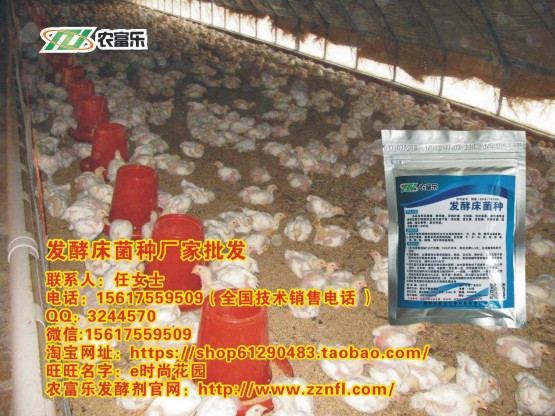 小雞用發(fā)酵床能不能提高成活率呢？圖片