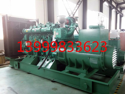 烏魯木齊800kw柴油發(fā)電機(jī)組圖片/烏魯木齊800kw柴油發(fā)電機(jī)組樣板圖 (4)