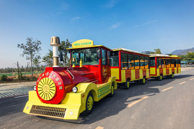 電動小火車圖片/電動小火車樣板圖 (2)