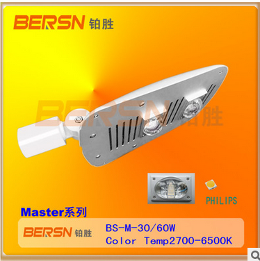 Maxter系列LED路灯60W图片