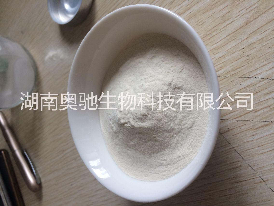 結(jié)冷膠圖片/結(jié)冷膠樣板圖 (1)