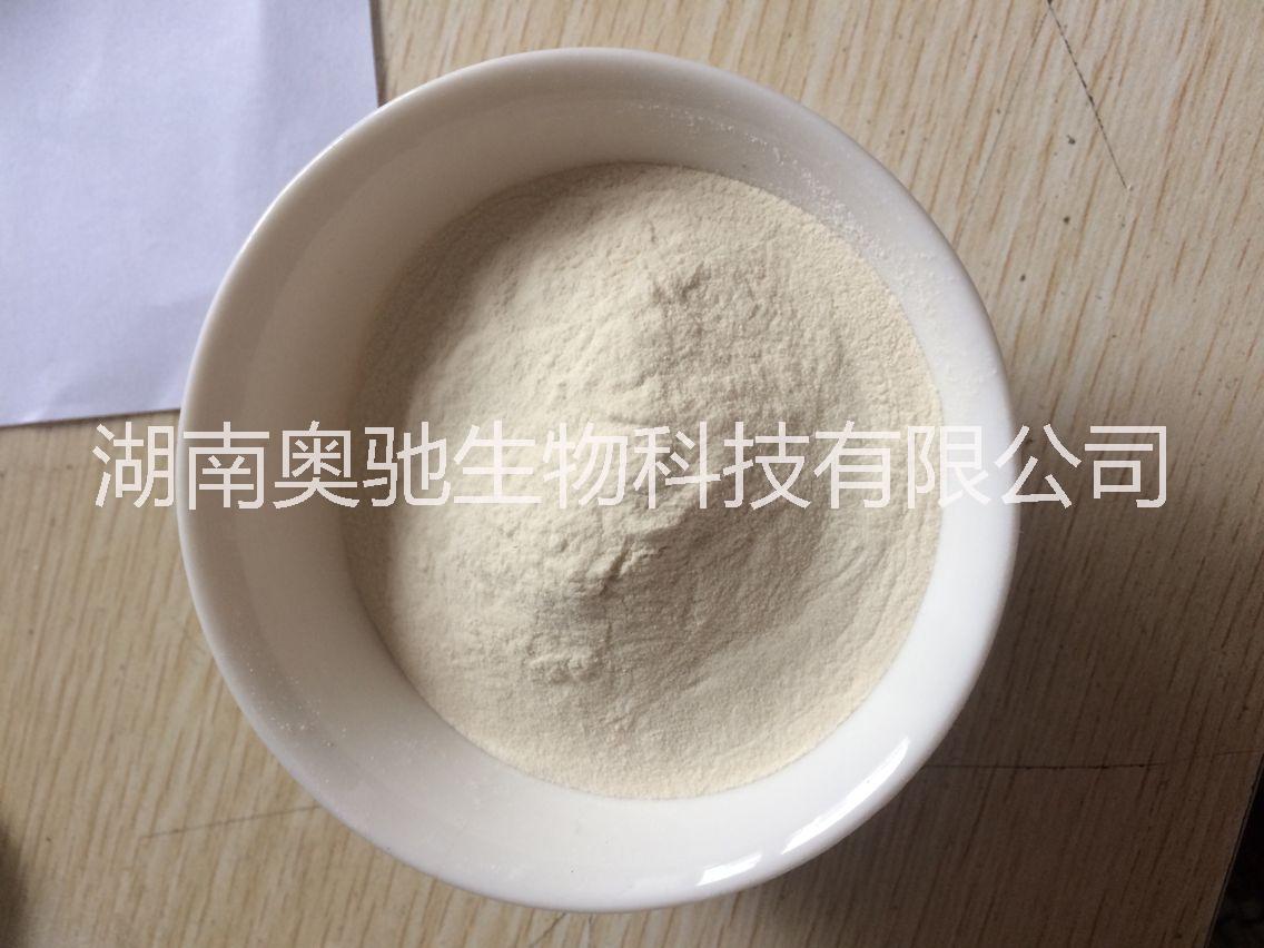 結(jié)冷膠圖片/結(jié)冷膠樣板圖 (3)