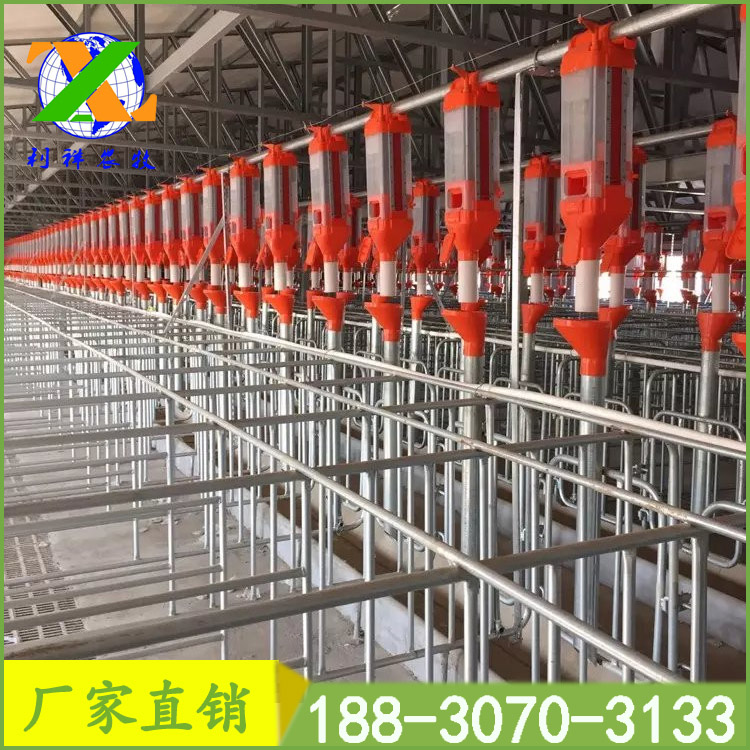 母豬料圖片/母豬料樣板圖 (2)