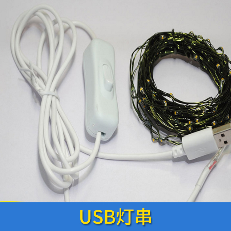 USB灯串 铜线灯串led电池盒闪灯串 USB防水铜线灯带遥控彩灯 欢迎来电定制