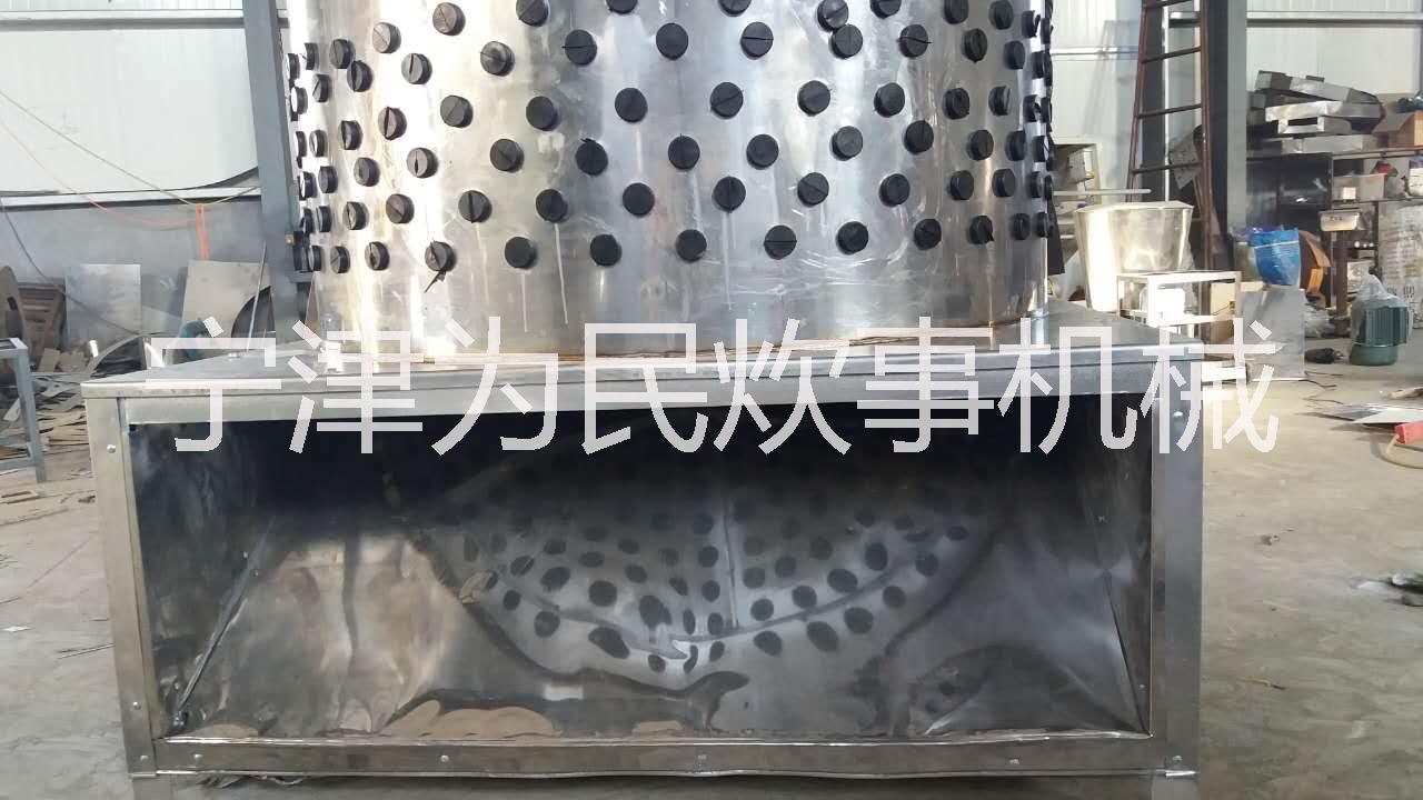 家禽脫毛機圖片/家禽脫毛機樣板圖 (2)