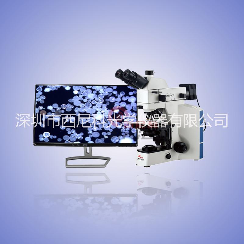 金相顯微鏡圖片/金相顯微鏡樣板圖 (1)