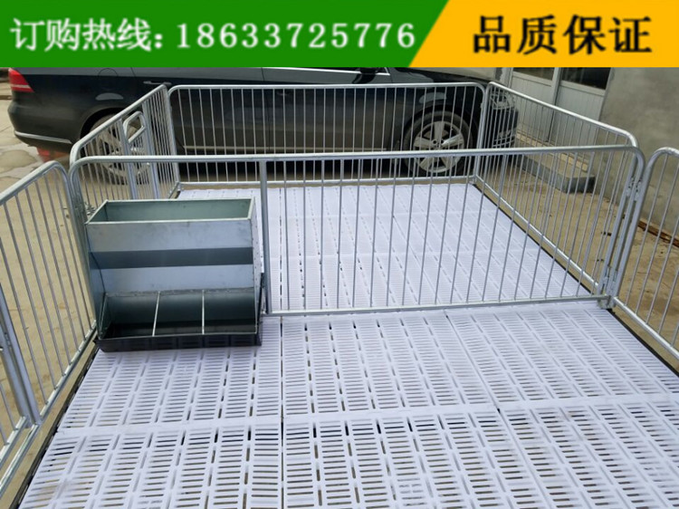 豬保育床圖片/豬保育床樣板圖 (1)