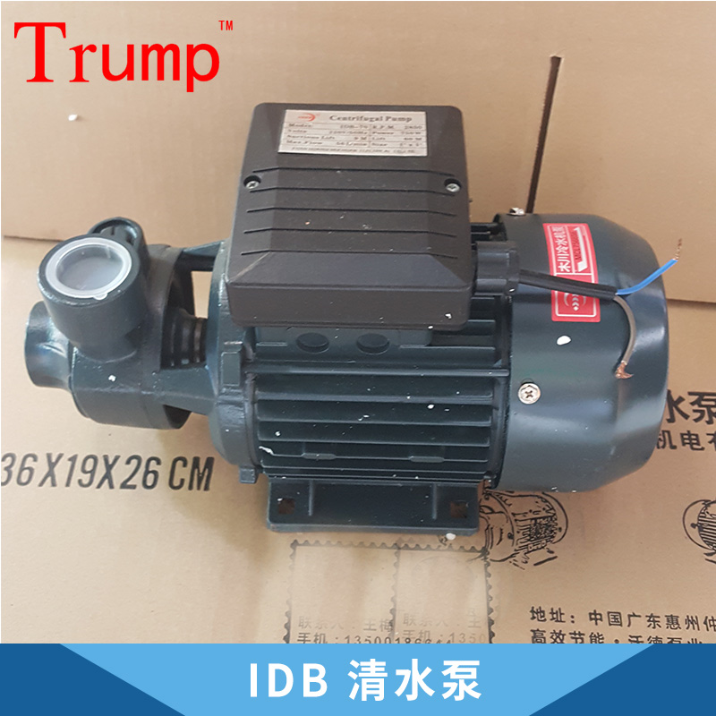 廠家直銷 廣東 IDB 清水泵 550W水泵 家用泵 水泵 品質(zhì)保障