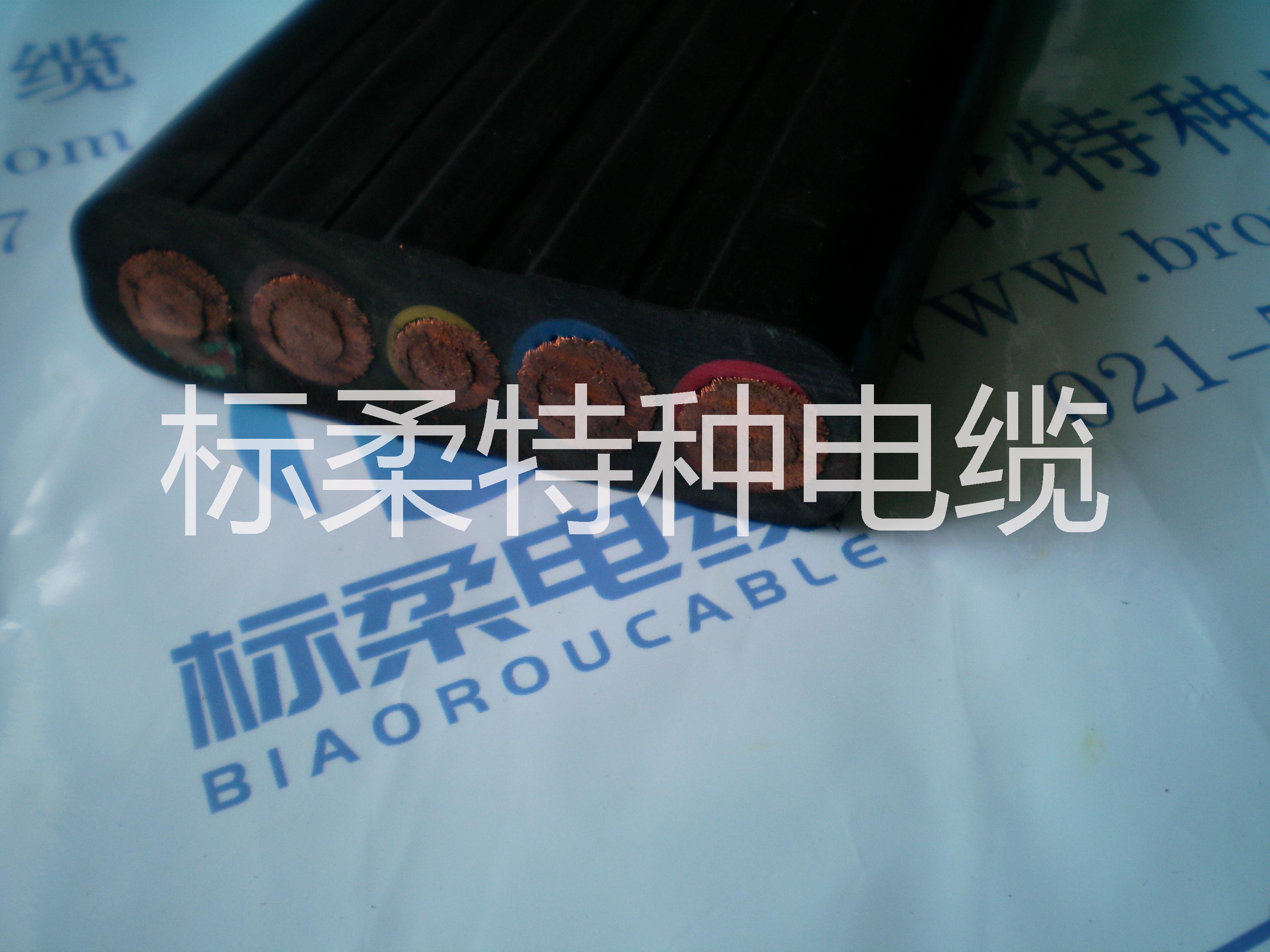 小滑車用扁電纜生產(chǎn)廠家直銷圖片/小滑車用扁電纜生產(chǎn)廠家直銷樣板圖 (2)
