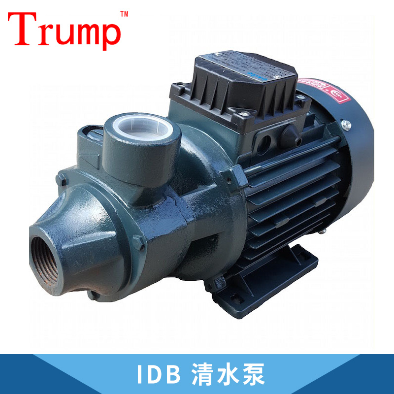 廣東 IDB 清水泵圖片/廣東 IDB 清水泵樣板圖 (4)