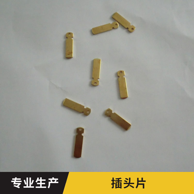 插頭片圖片/插頭片樣板圖 (2)