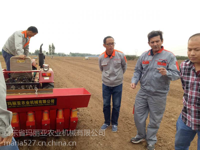 瑪利亞廠家直供大蒜播種機(jī)圖片
