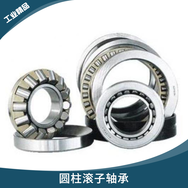 德国TDN系列 圆柱滚子轴承 电动机/内燃机高径向负荷线接触轴承 TDN轴承图片