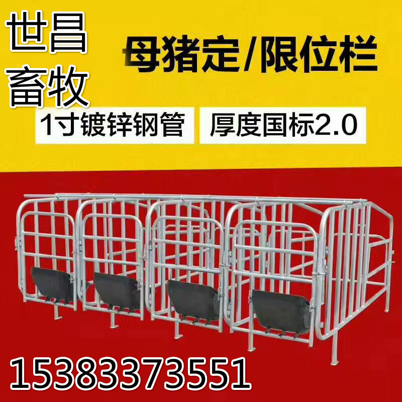 育肥豬懷孕豬床定位欄圖片