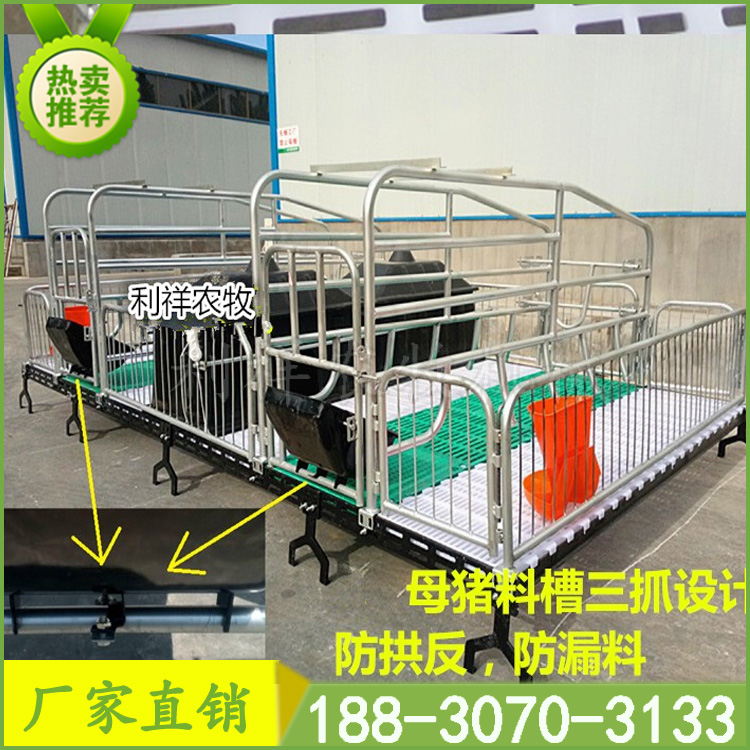 母豬產(chǎn)床圖片/母豬產(chǎn)床樣板圖 (4)