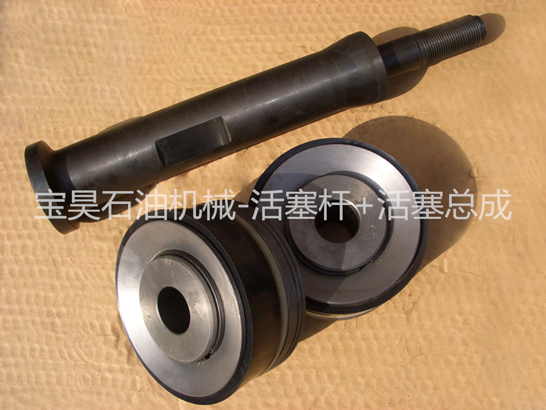 活塞桿圖片/活塞桿樣板圖 (4)