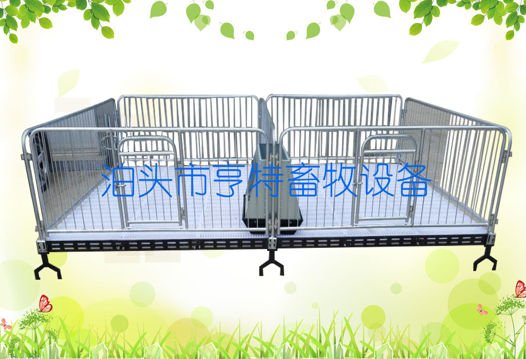 豬保育床圖片/豬保育床樣板圖 (1)