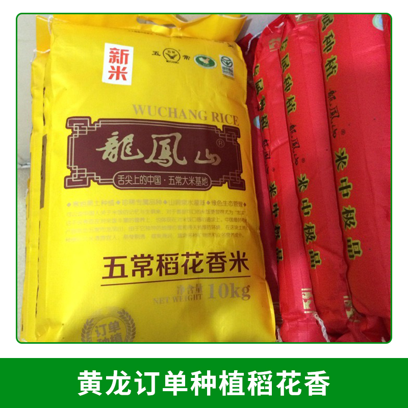 黃龍訂單種植稻花香圖片/黃龍訂單種植稻花香樣板圖 (3)