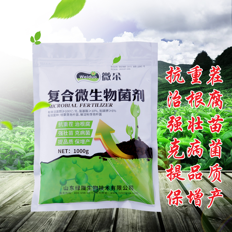微生物菌圖片/微生物菌樣板圖 (4)