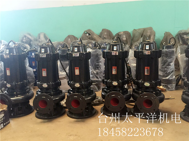 高揚程潛污泵圖片/高揚程潛污泵樣板圖 (3)