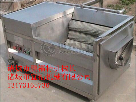 毛輥豬頭豬蹄清洗機(jī) 毛刷清洗圖片/毛輥豬頭豬蹄清洗機(jī) 毛刷清洗樣板圖 (1)