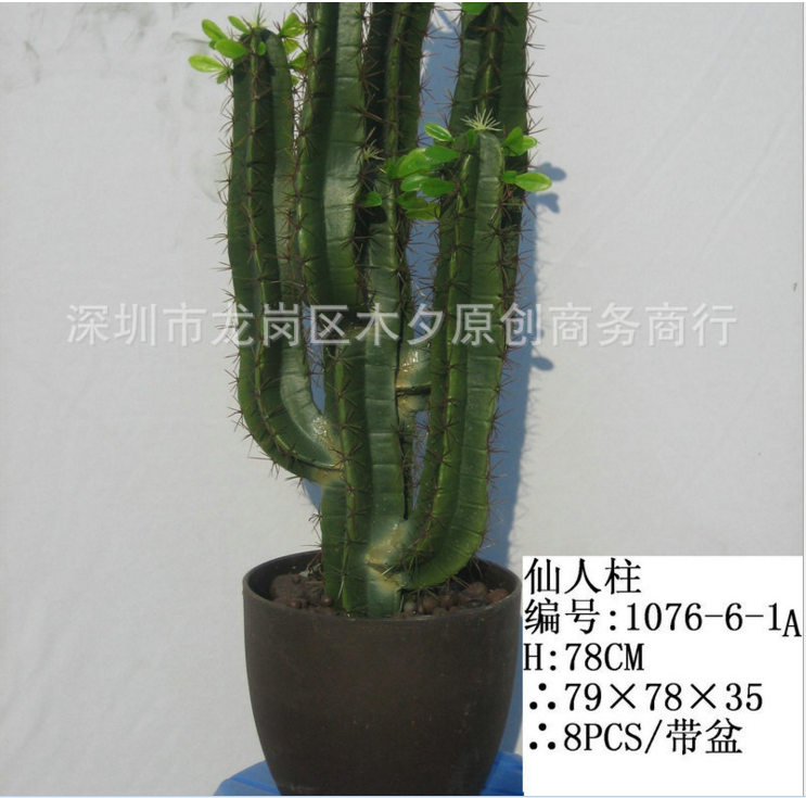 仿真植物圖片/仿真植物樣板圖 (2)