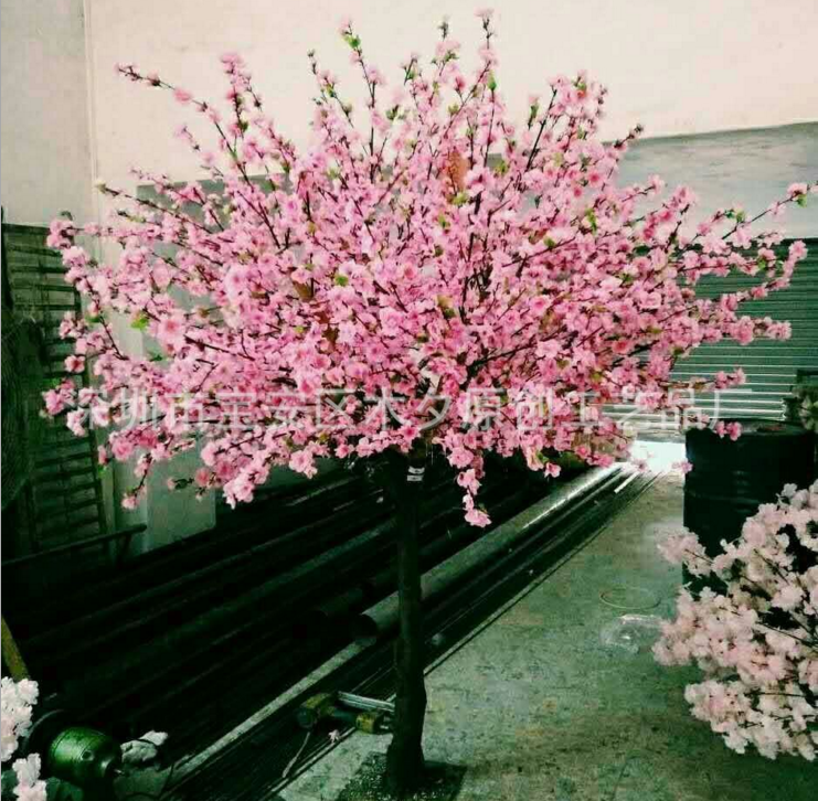 桃花樹圖片/桃花樹樣板圖 (2)