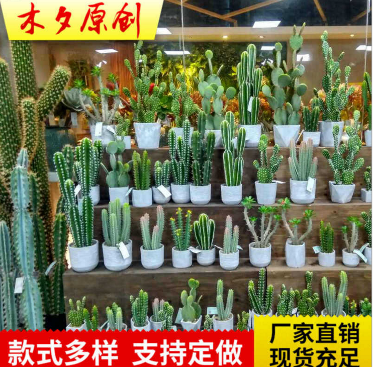 廠家直銷 新款仙人掌 仿真仙人球盆栽 仿真仙人柱 仿真多肉 盆栽