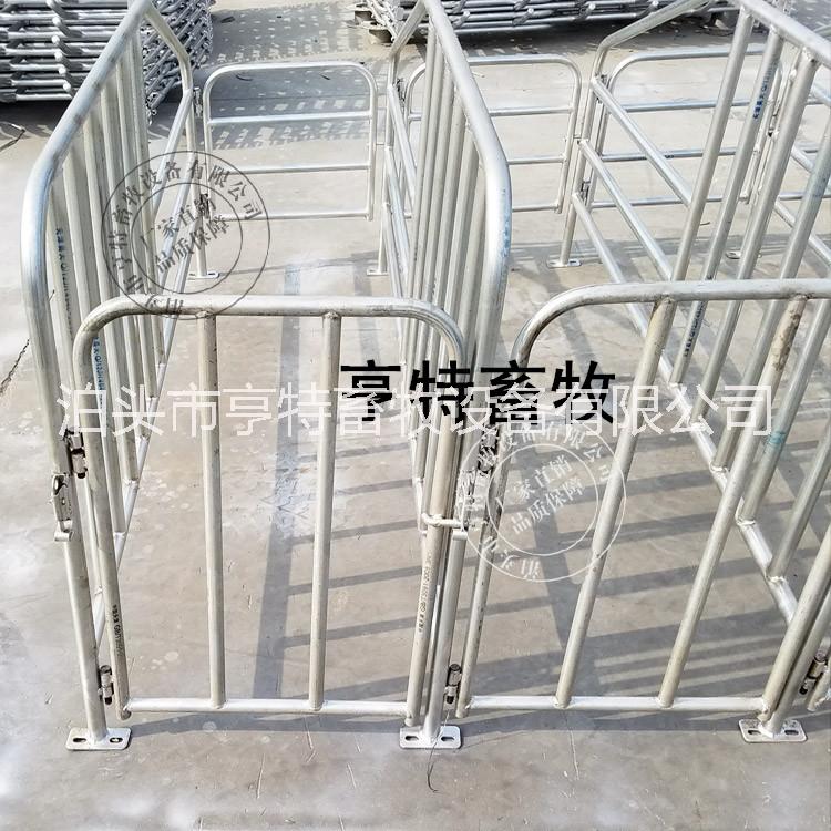 母豬定位欄圖片/母豬定位欄樣板圖 (2)