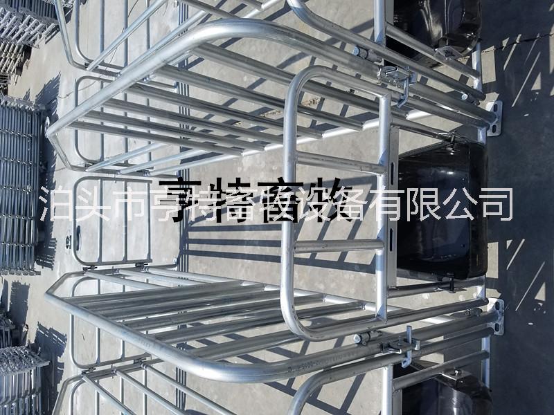 母豬定位欄圖片/母豬定位欄樣板圖 (1)