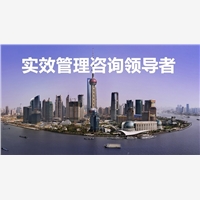 深受顧客歡迎的國內(nèi)戰(zhàn)略咨詢公司圖片