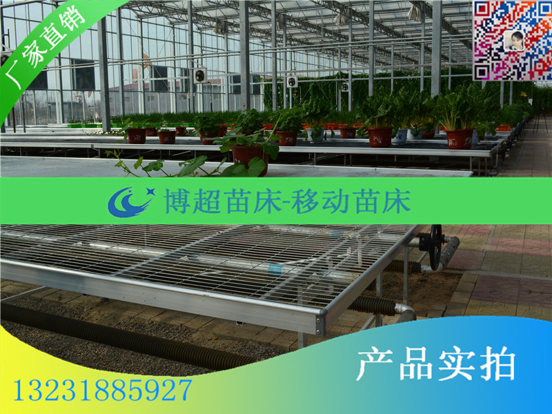 苗床圖片/苗床樣板圖 (3)