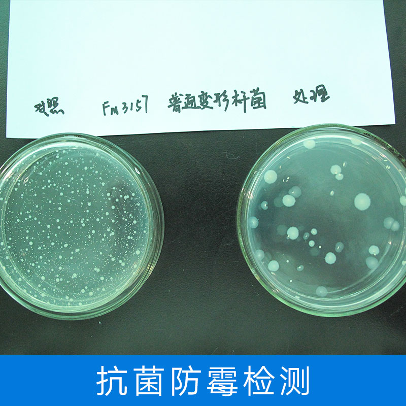 廣東抗菌防霉檢測(cè)圖片/廣東抗菌防霉檢測(cè)樣板圖 (1)
