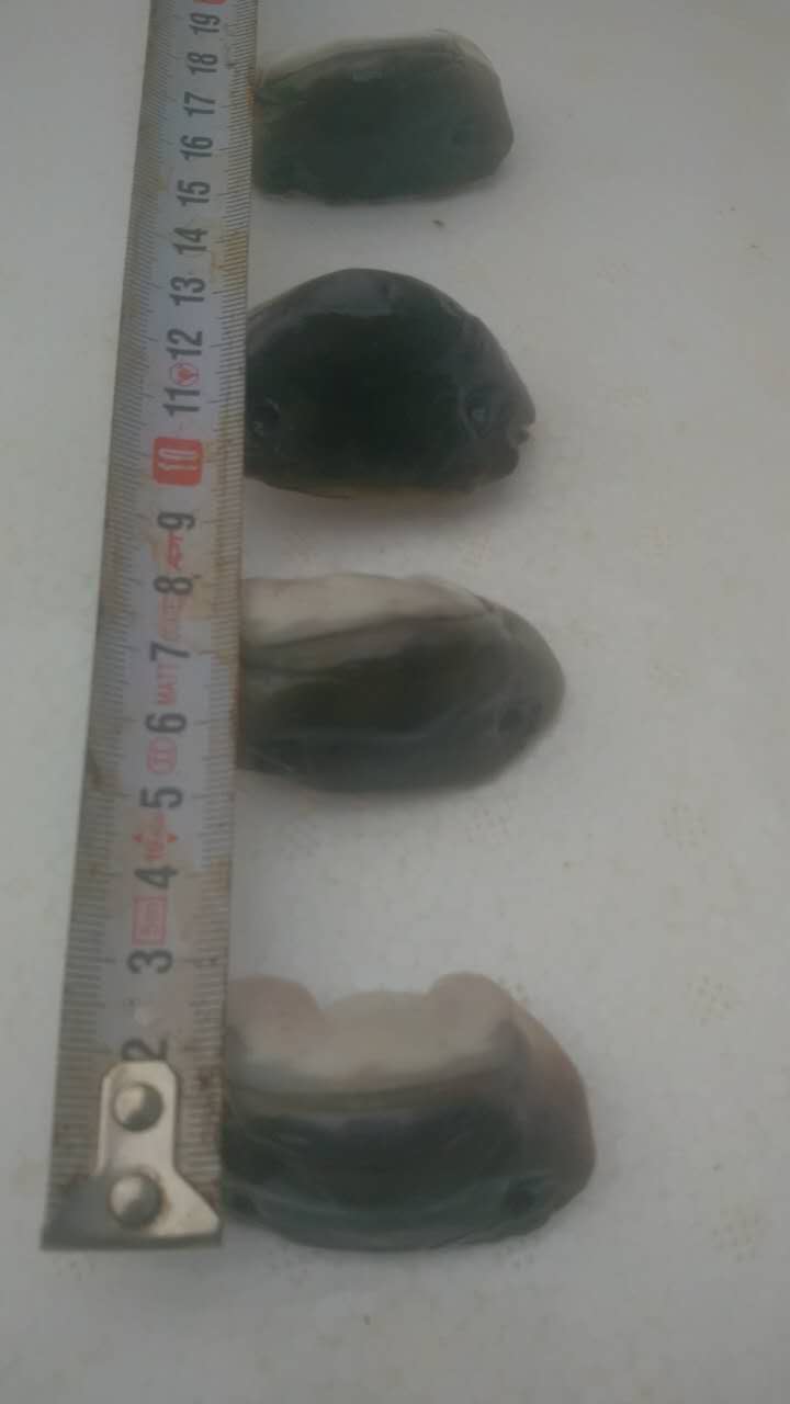 酒店食材魚嘴巴魚嘴唇訂購加工新鮮圖片/酒店食材魚嘴巴魚嘴唇訂購加工新鮮樣板圖 (2)