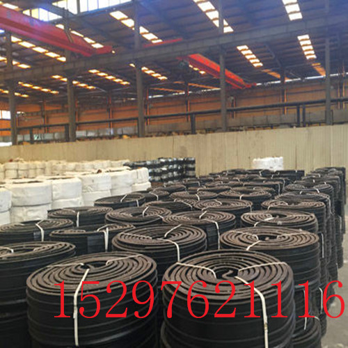 鋼邊橡膠止水帶圖片/鋼邊橡膠止水帶樣板圖 (4)