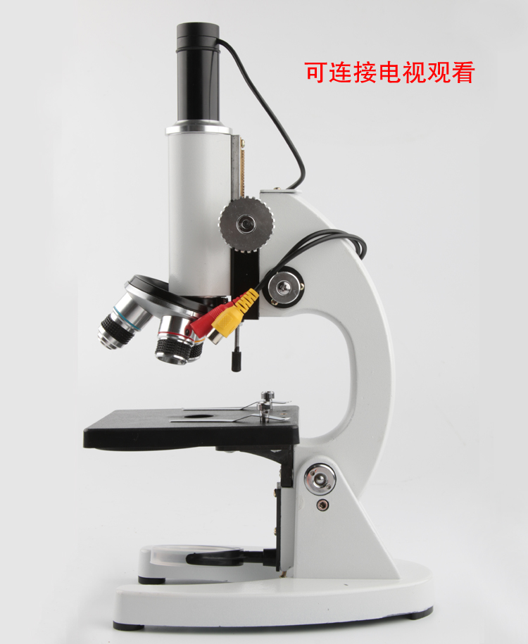 倍顯微鏡圖片/倍顯微鏡樣板圖 (4)