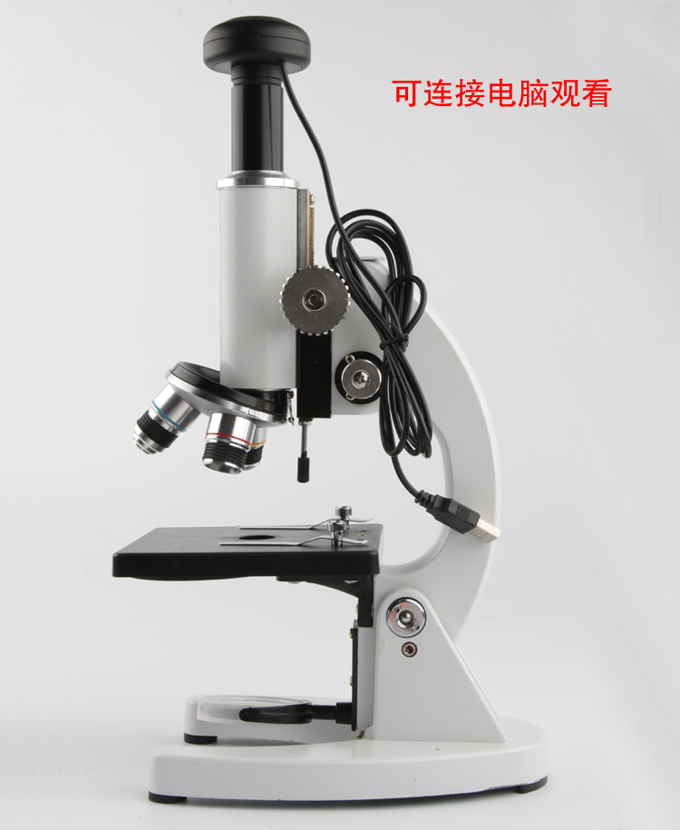 倍顯微鏡圖片/倍顯微鏡樣板圖 (3)