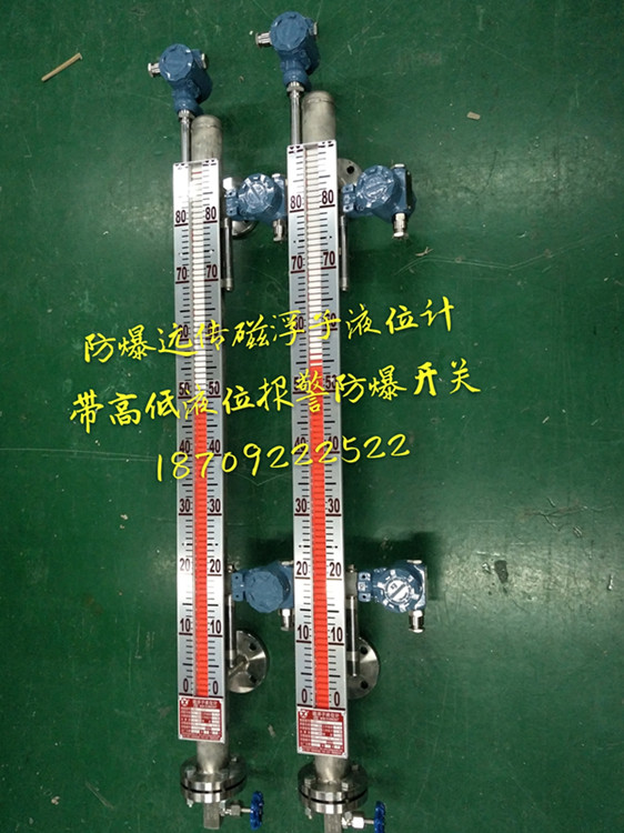 磁浮子液位計(jì)圖片/磁浮子液位計(jì)樣板圖 (3)