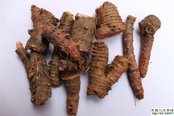 紅景天提取物紅景天甙