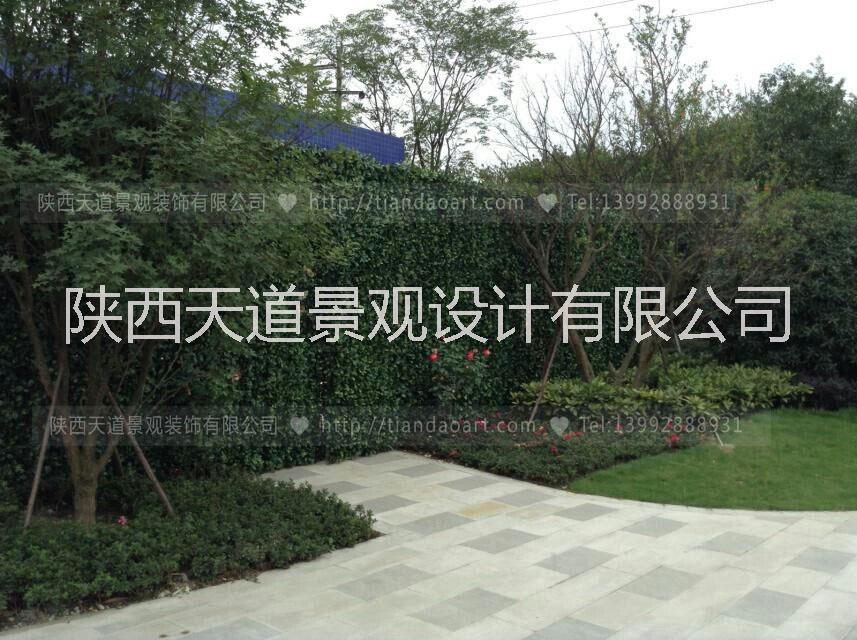 西安仿真綠植定制圖片/西安仿真綠植定制樣板圖 (2)