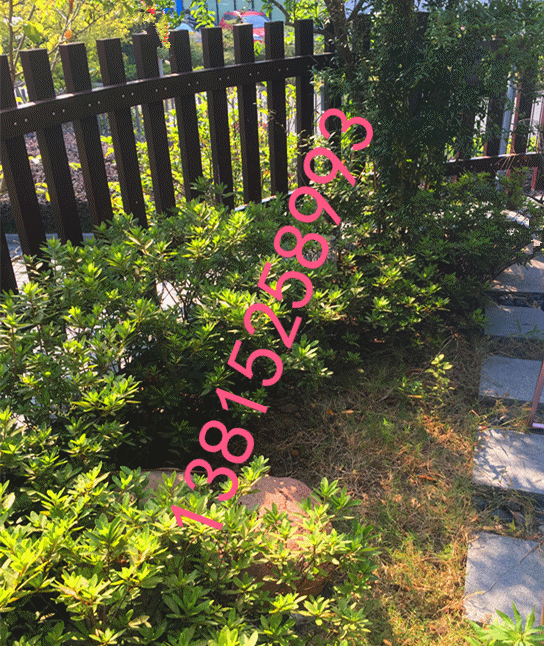 蘇州綠化苗木、蘇州景觀花木公司圖片/蘇州綠化苗木、蘇州景觀花木公司樣板圖 (3)