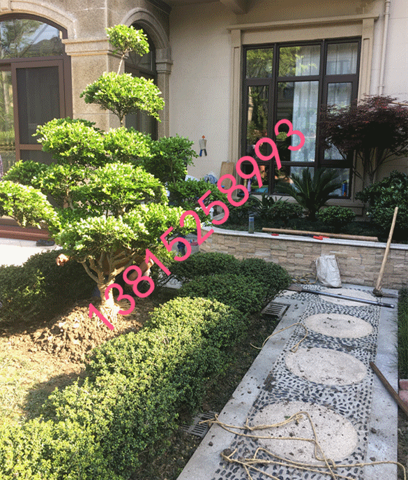 蘇州庭院綠化景觀工程、蘇州別墅綠化、庭院別墅苗木、蘇州私家花園景觀,蘇州綠化苗木