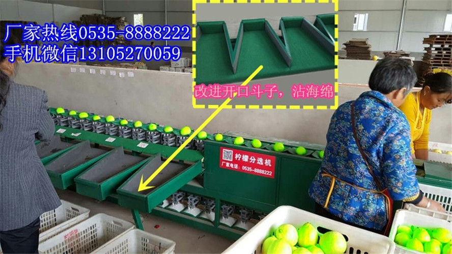 全國銷量領(lǐng)先圖片/全國銷量領(lǐng)先樣板圖 (2)