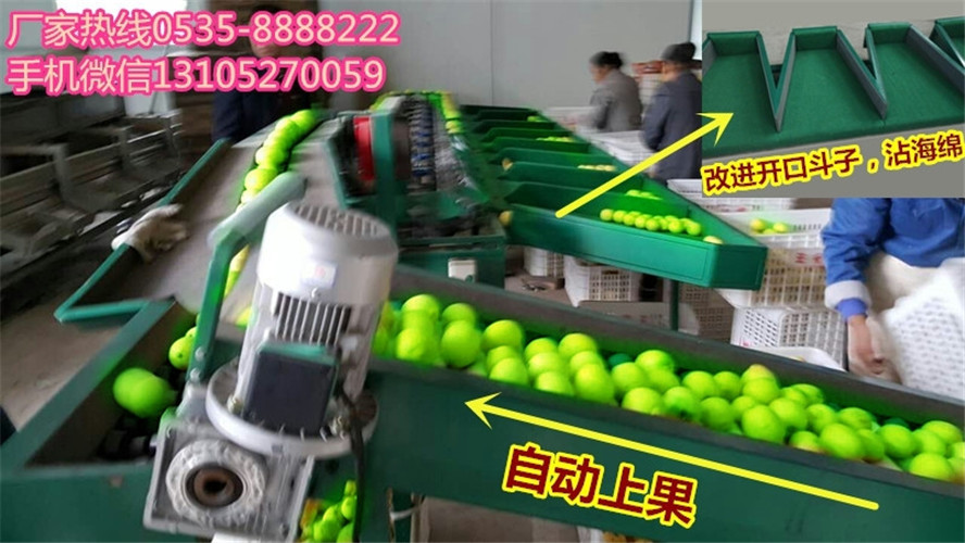 哪家青棗分選機(jī)售后服務(wù)完善？圖片/哪家青棗分選機(jī)售后服務(wù)完善？樣板圖 (2)