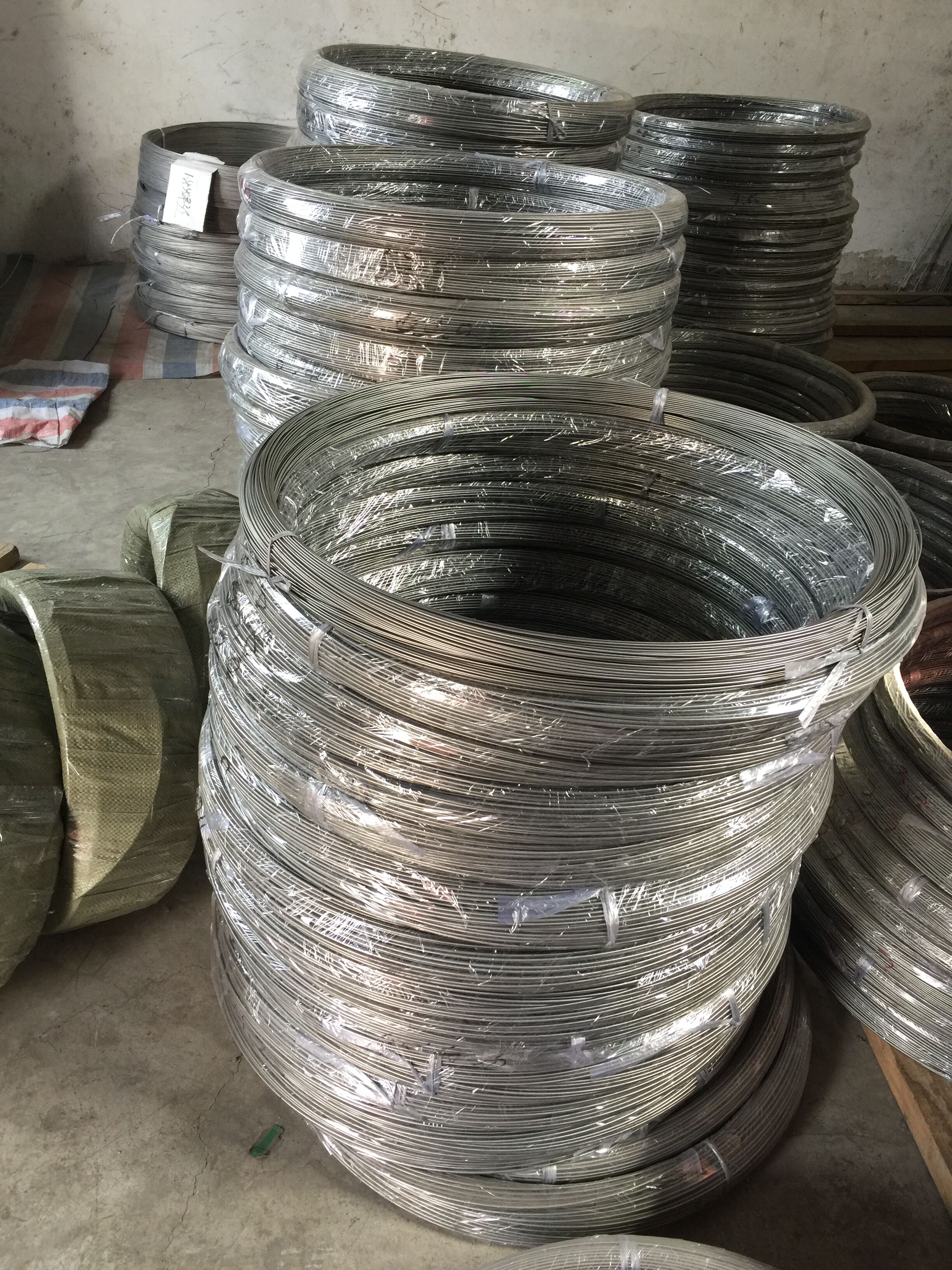 眼鏡絲圖片/眼鏡絲樣板圖 (3)