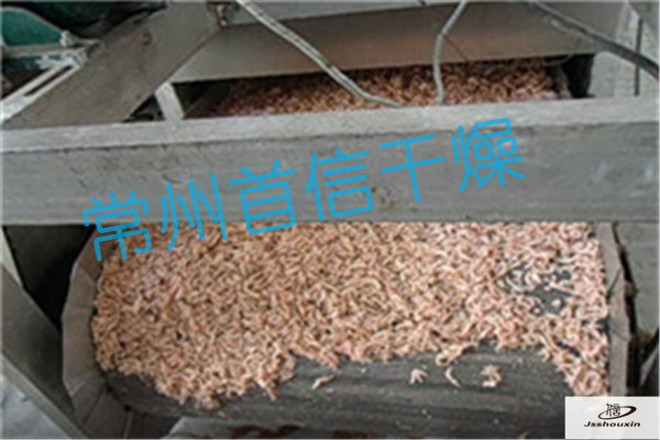 海產(chǎn)品蝦圖片/海產(chǎn)品蝦樣板圖 (1)